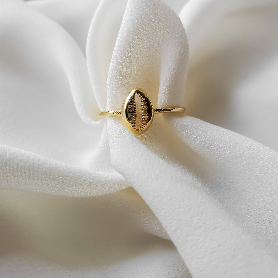 Shell Ring